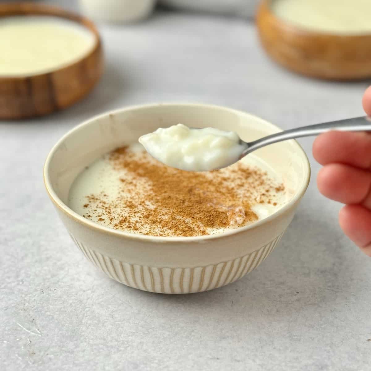Rice pudding served in a bowl with cinnamon on top and a teaspoon full with rice pudding.