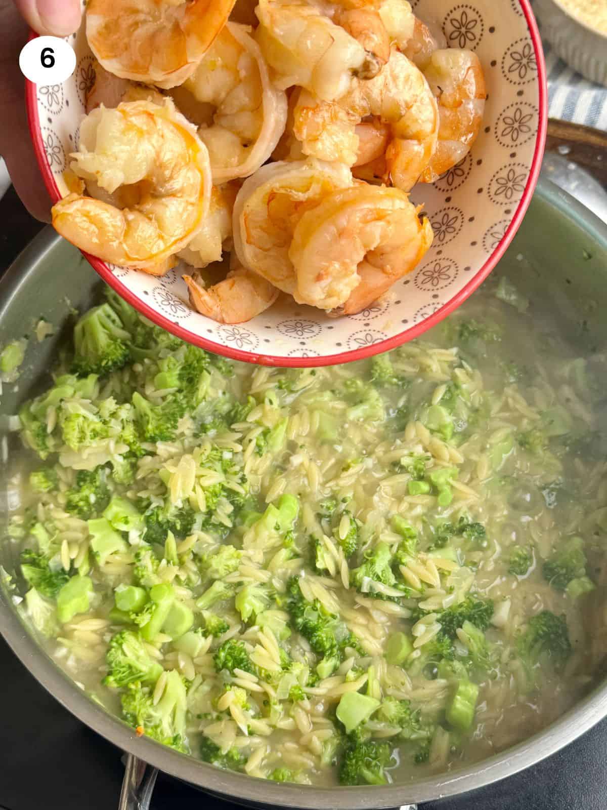 Adding the shrimp to the pan.