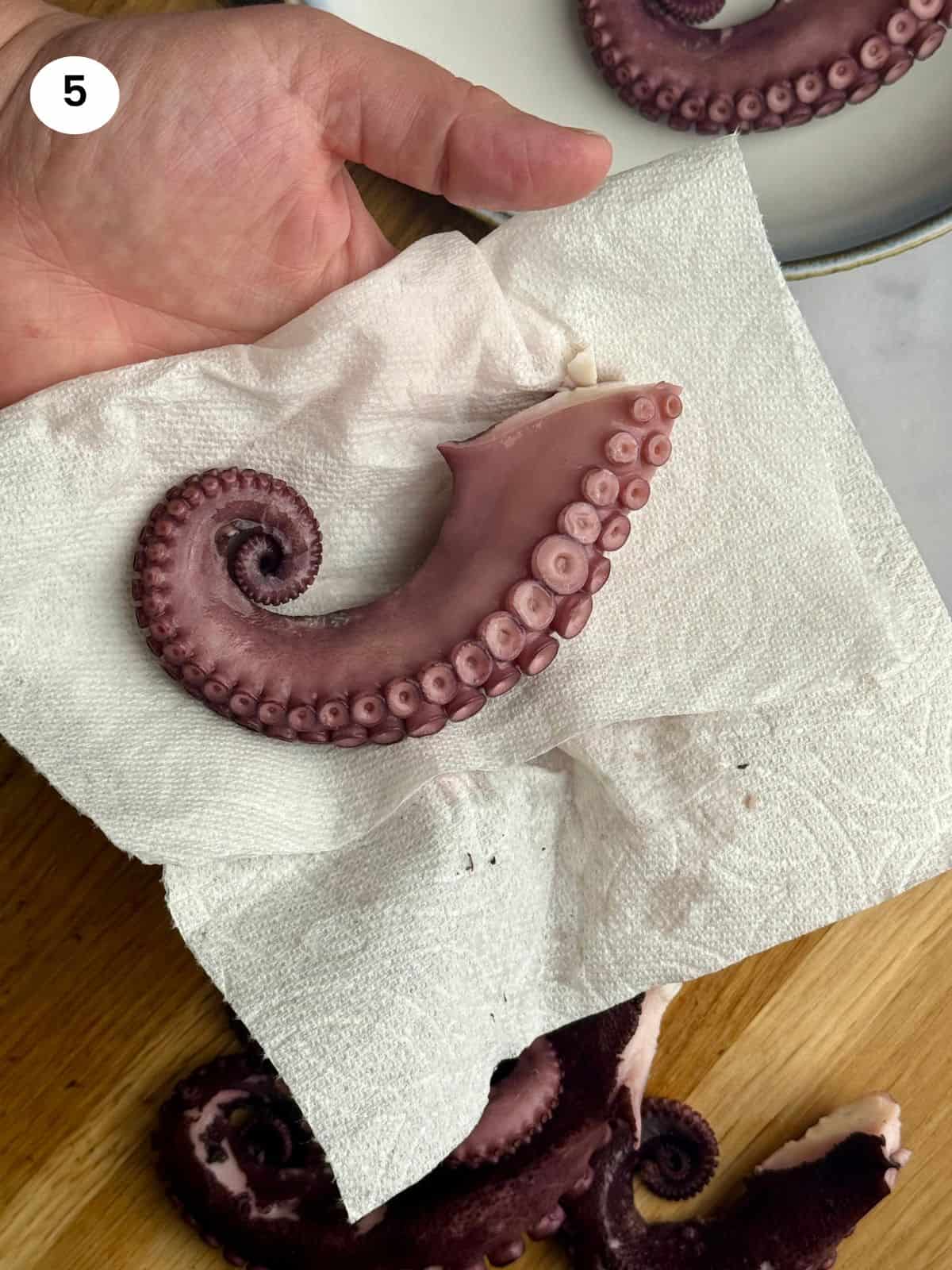 Drying an octopus tentacle with a paper towel.