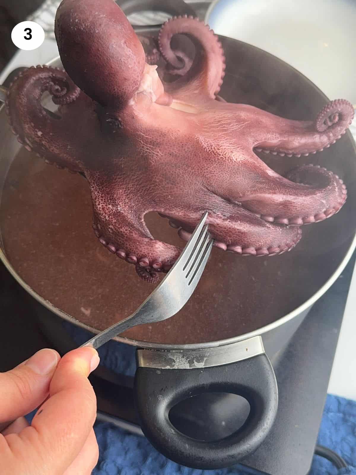 Testing that the octopus is cooked with a fork.