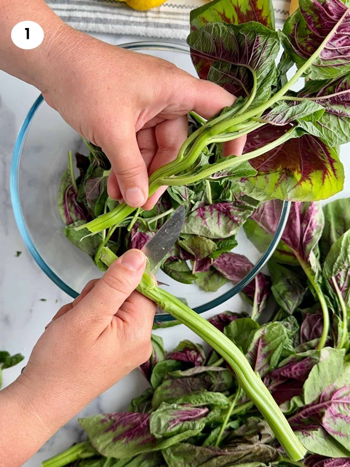 Cutting the hard stems of the amaranth greens.